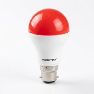 LED Rainbow Bulb